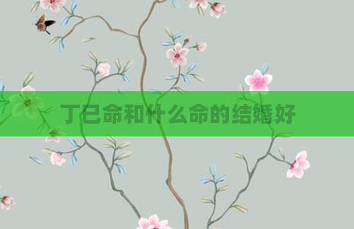 丁巳命和什么命的结婚好