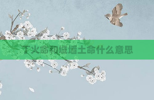 丁火命和城墙土命什么意思