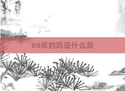 69年的鸡是什么命
