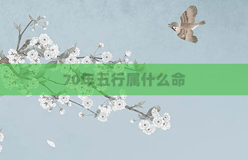 70年五行属什么命