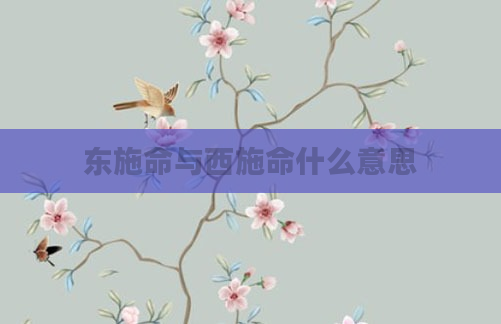 东施命与西施命什么意思