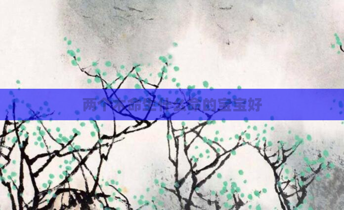 两个木命生什么命的宝宝好