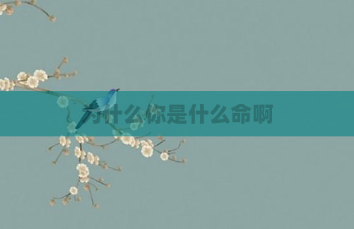 为什么你是什么命啊
