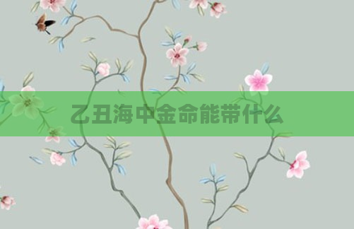 乙丑海中金命能带什么
