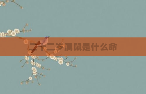 二十二岁属鼠是什么命