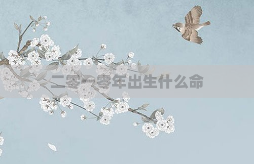 二零一零年出生什么命