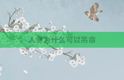 人参为什么可以吊命