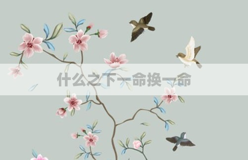 什么之下一命换一命