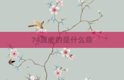 74属虎的是什么命