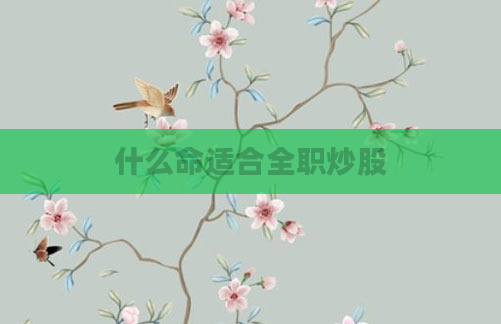 什么命适合全职炒股