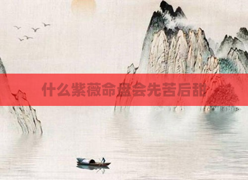 什么紫薇命盘会先苦后甜