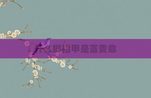 什么脚指甲是富贵命