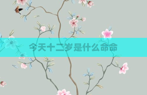 今天十二岁是什么命命