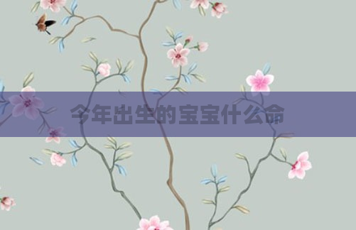 今年出生的宝宝什么命