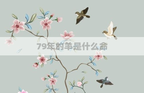 79年的羊是什么命