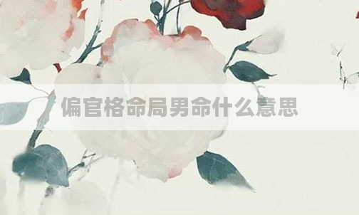 偏官格命局男命什么意思