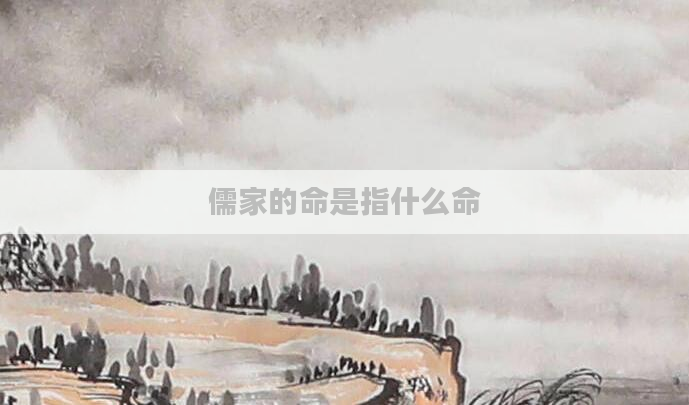 儒家的命是指什么命