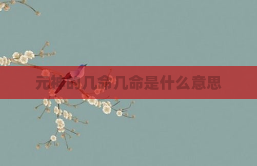 元神的几命几命是什么意思