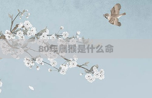 80年属猴是什么命