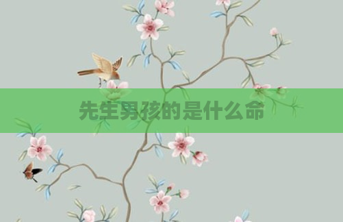 先生男孩的是什么命