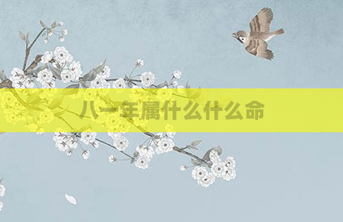 八一年属什么什么命