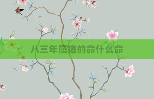 八三年属猪的命什么命