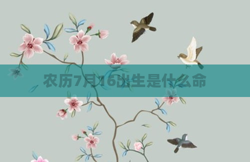 农历7月16出生是什么命