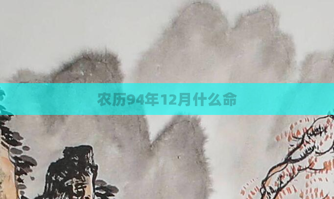 农历94年12月什么命