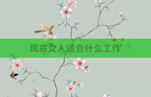 凤命女人适合什么工作