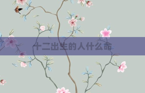 十二出生的人什么命