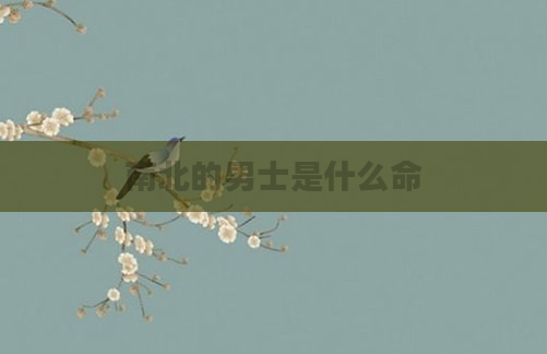 南北的男士是什么命