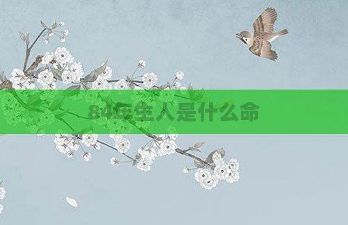 84年生人是什么命