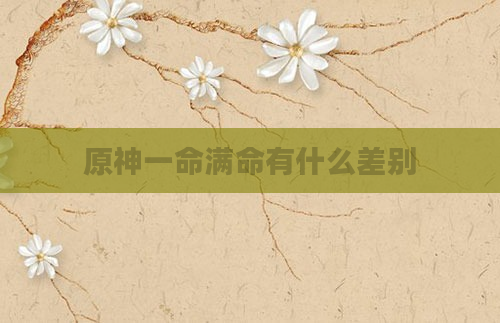 原神一命满命有什么差别