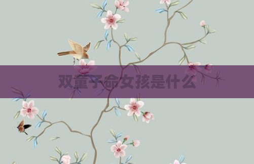 双童子命女孩是什么