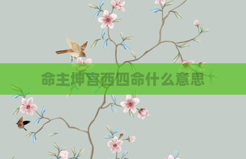 命主坤宫西四命什么意思
