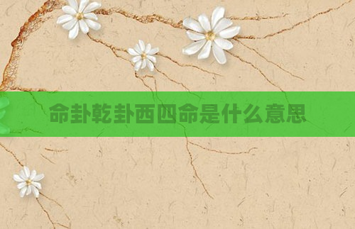 命卦乾卦西四命是什么意思