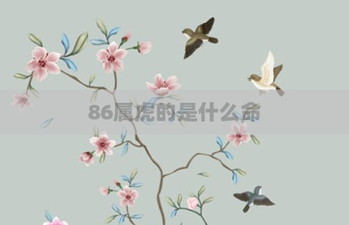 86属虎的是什么命