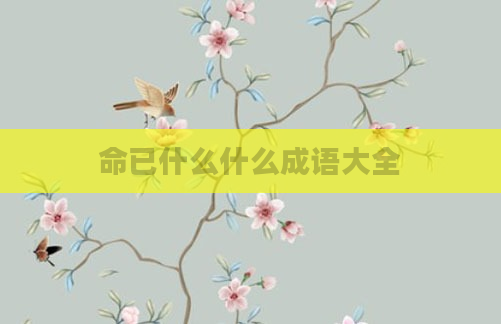 命已什么什么成语大全