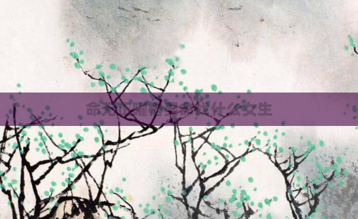 命无正曜格男命找什么女生