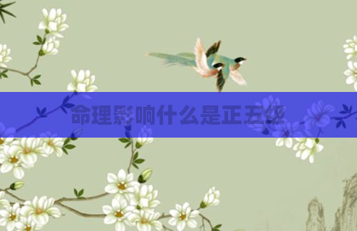 命理影响什么是正五级
