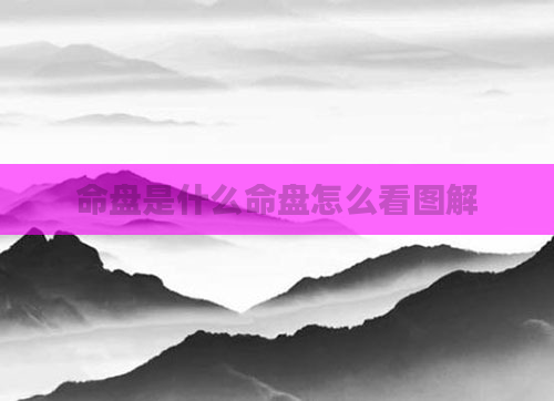 命盘是什么命盘怎么看图解