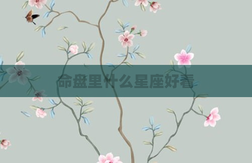 命盘里什么星座好看