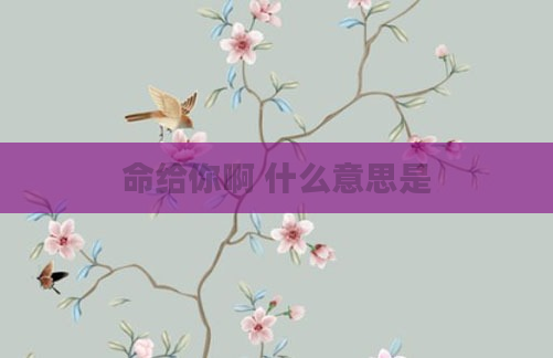 命给你啊 什么意思是