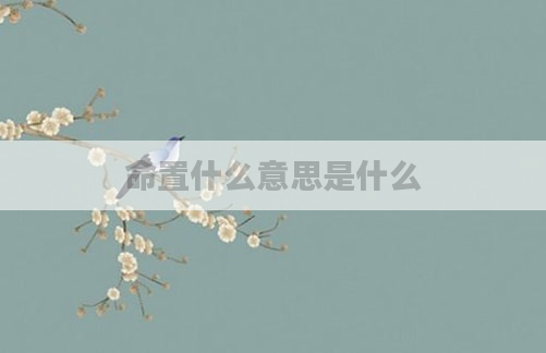 命置什么意思是什么