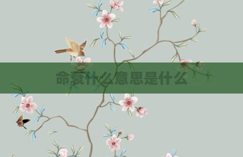 命衰什么意思是什么