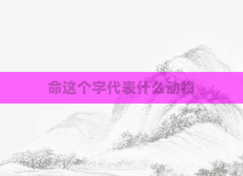 命这个字代表什么动物