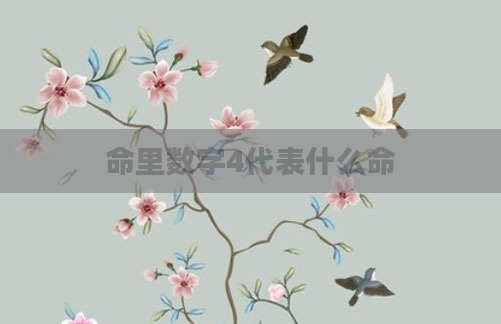 命里数字4代表什么命