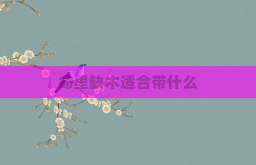 命里缺木适合带什么