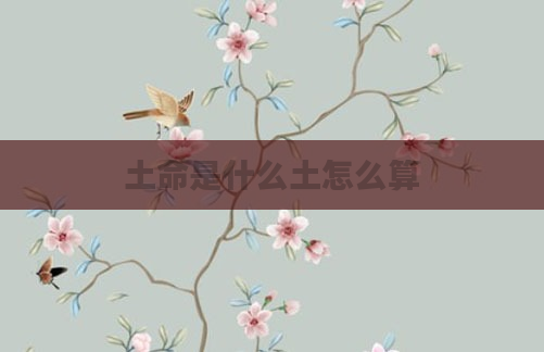 土命是什么土怎么算