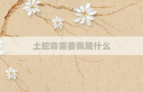土蛇命需要佩戴什么